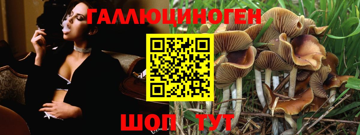 Псилоцибиновые грибы прущие грибы Красноуфимск